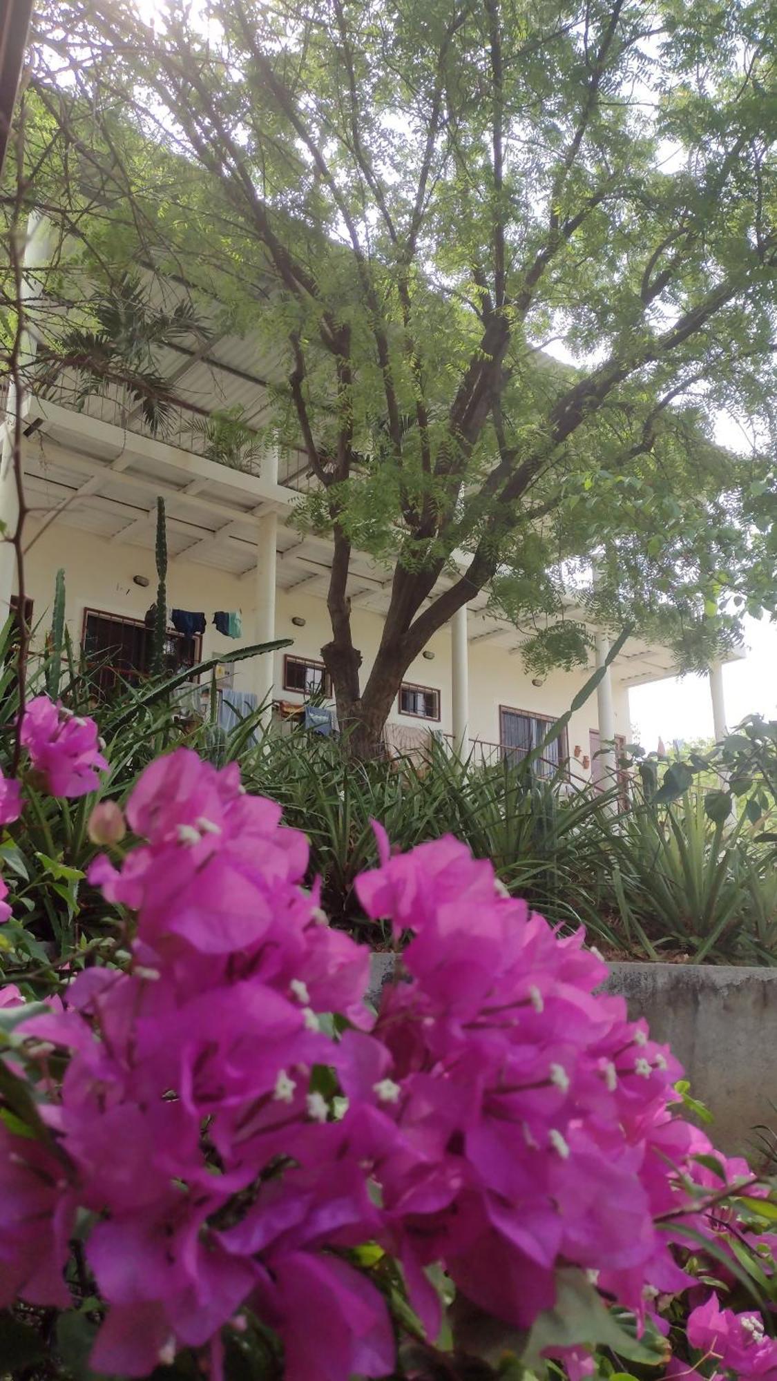 Casa Todo Bueno Bed & Breakfast Transito Exterior photo